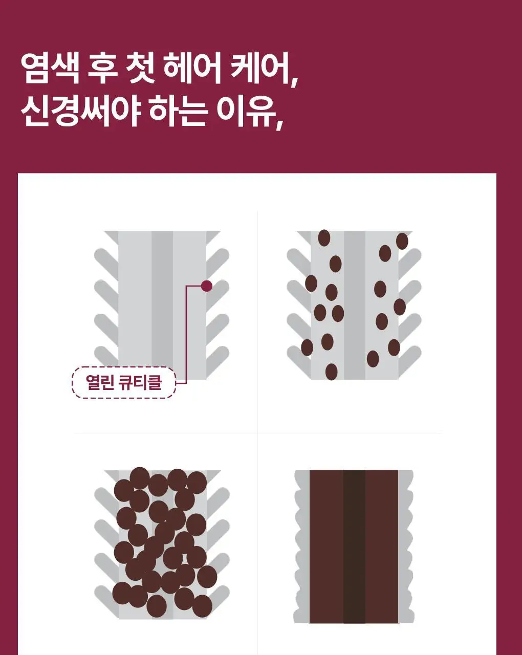 [염색&손상모발샴푸]라우쉬 와일드 로즈 컬러-프로텍팅 샴푸 200ml 상세페이지 5